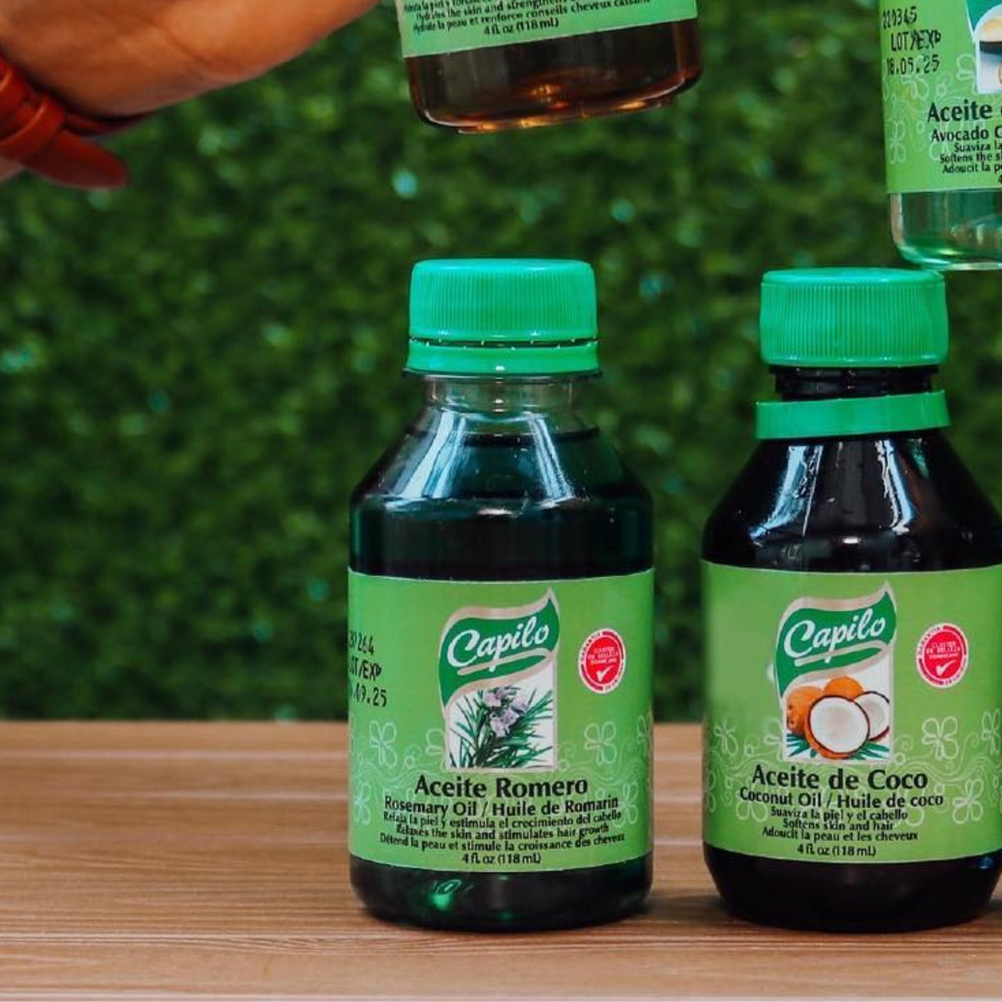 Dominican Rosemary Oil – Capilo Pro 2 oz for Hair & Scalp