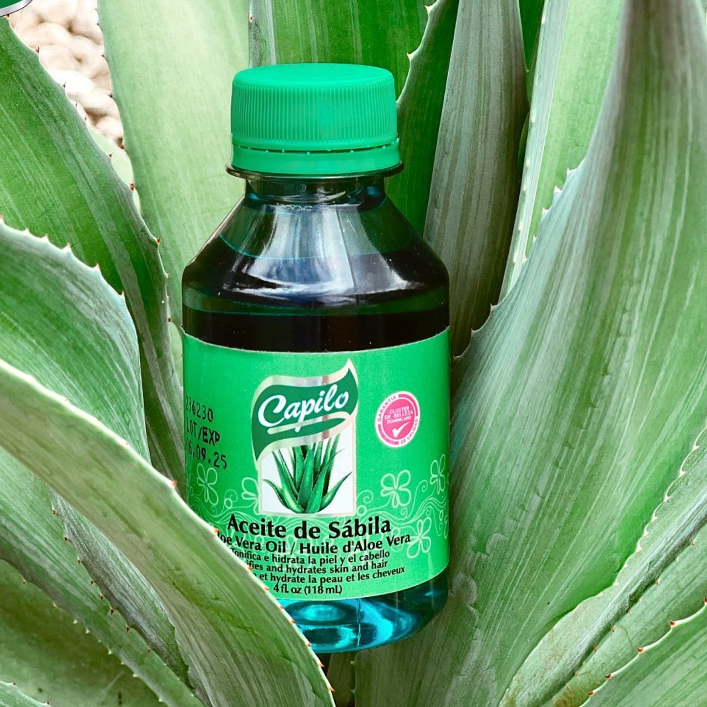 Aloe Vera Oil – Capilo 4 oz | Dominican Hydration & Scalp Care