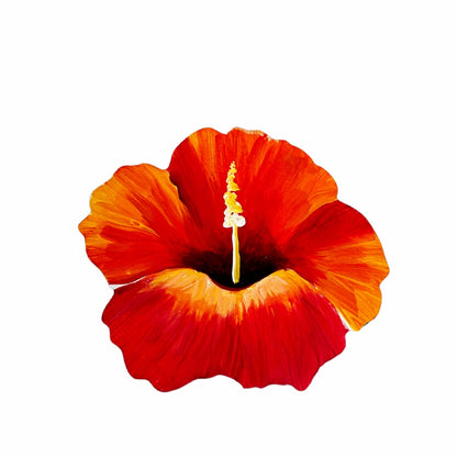 Set of 6 Coasters – Dominican Souvenir with Cayenne Flower Design